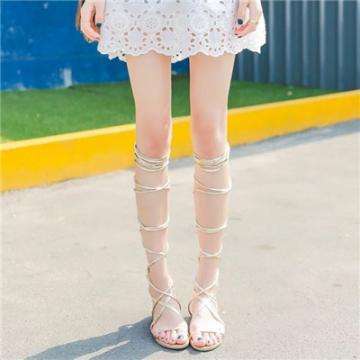 天博体育官网下载入口